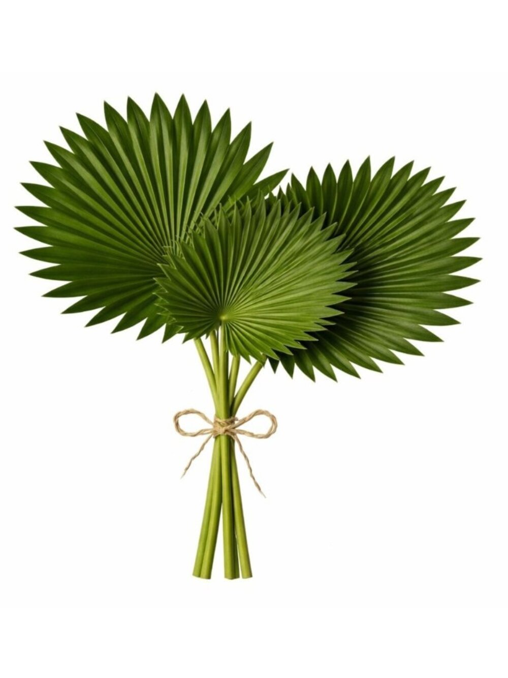Artificial Fan Palm Leaves Set of 3 Real Touch Faux Palm Leaves Tropical Greener